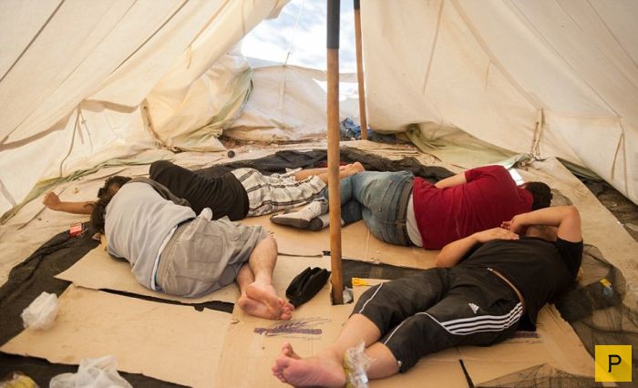 Как живут беженцы в Греции (8 фото)