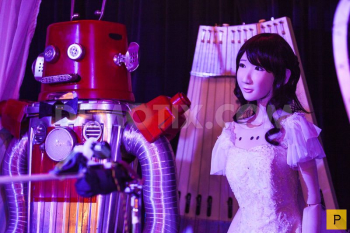 Свадьба роботов в Японии (3 фото)