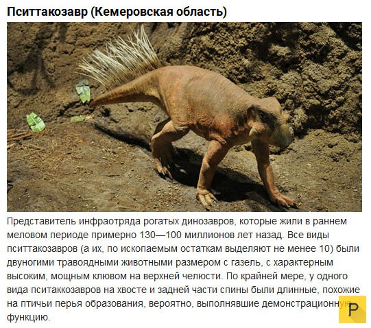 Топ 10: Доисторические животные, населявшие территорию современной России (10 фото)