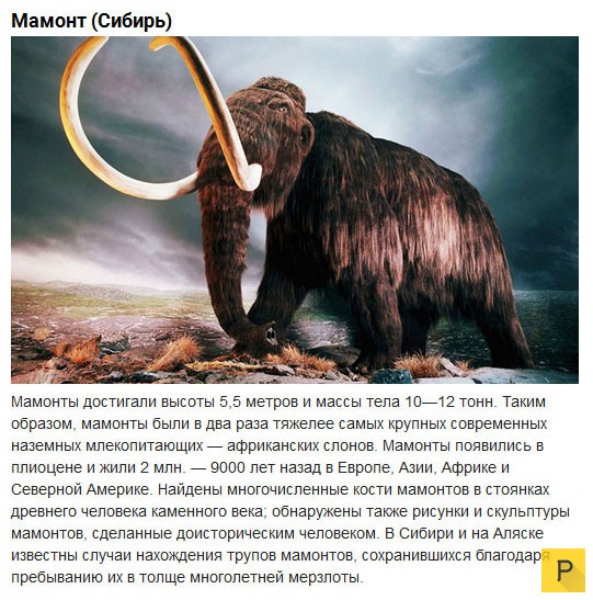 Топ 10: Доисторические животные, населявшие территорию современной России (10 фото)