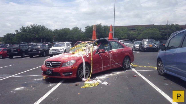 ���������� �����, �������� ������ 2015