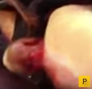 Два морских пехотинца США предотвратили теракт в поезде Амстердам – Париж