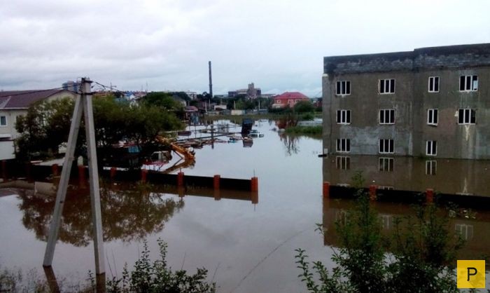 Последствия тайфуна «Гони» в Приморском крае (19 фото)