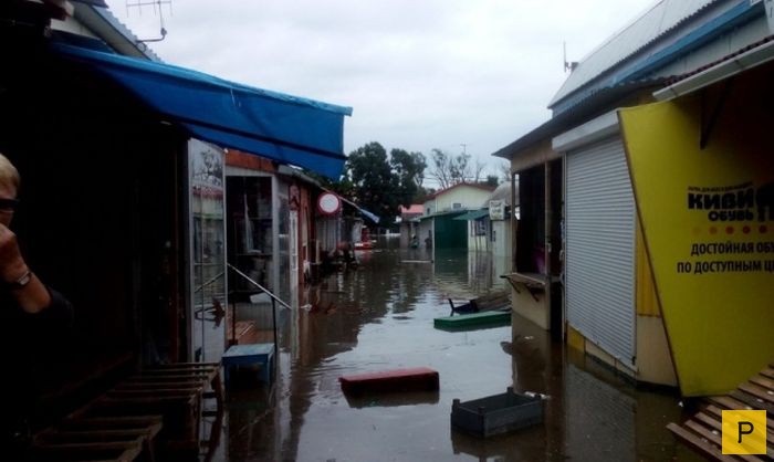 Последствия тайфуна «Гони» в Приморском крае (19 фото)