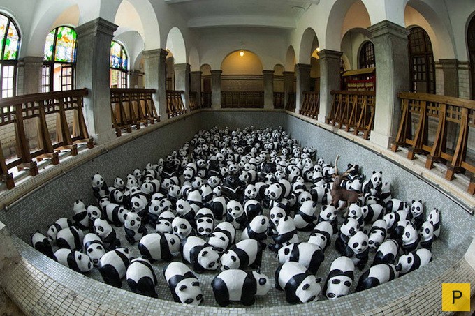 Инсталляция "1600 панд" от французского художника Пауло Гранжеона (11 фото)