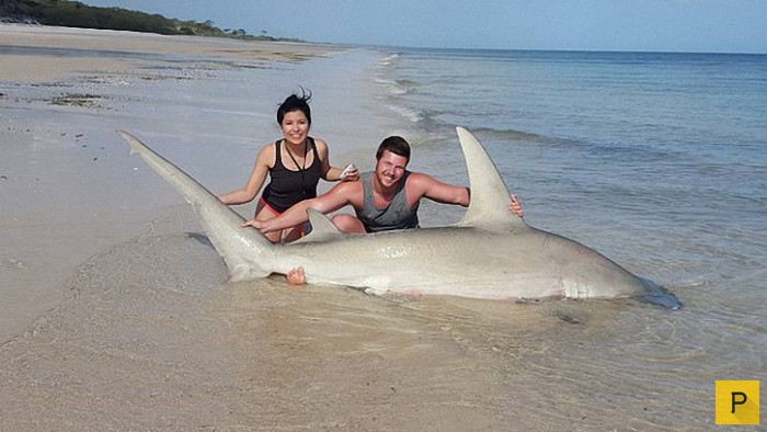 Австралийский спасатель Макс Маггеридж ловит акул на удочку (11 фото)
