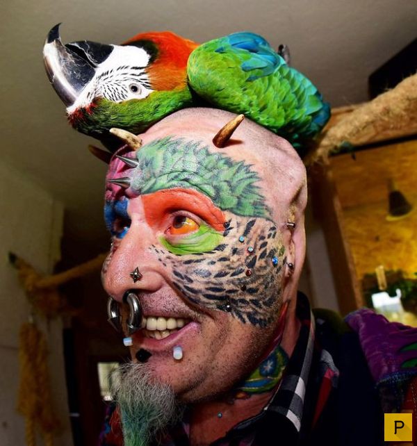 Жесть!!! Тед Ричардс - человек-попугай, отрезал уши и хочет из носа сделать клюв (8 фото)