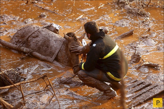 Последствия наводнения в Бразилии (22 фото)