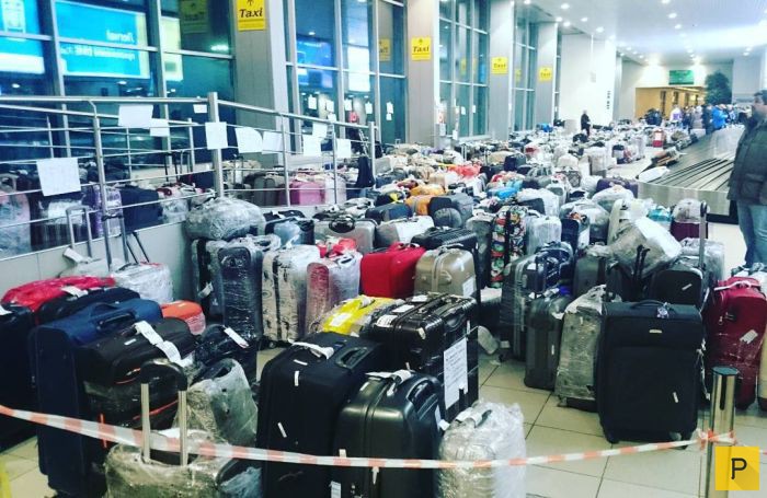 Багаж туристов эвакуационных рейсов из Египта заполонил российские аэропорты (11 фото)