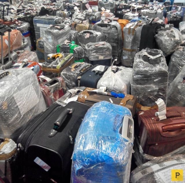 Багаж туристов эвакуационных рейсов из Египта заполонил российские аэропорты (11 фото)