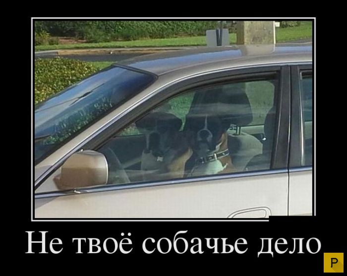 ������������ �� 23.11.2015 (35 ����)