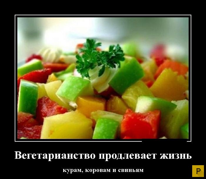 ������������ �� 23.11.2015 (35 ����)