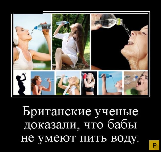 ������������ �� 23.11.2015 (35 ����)