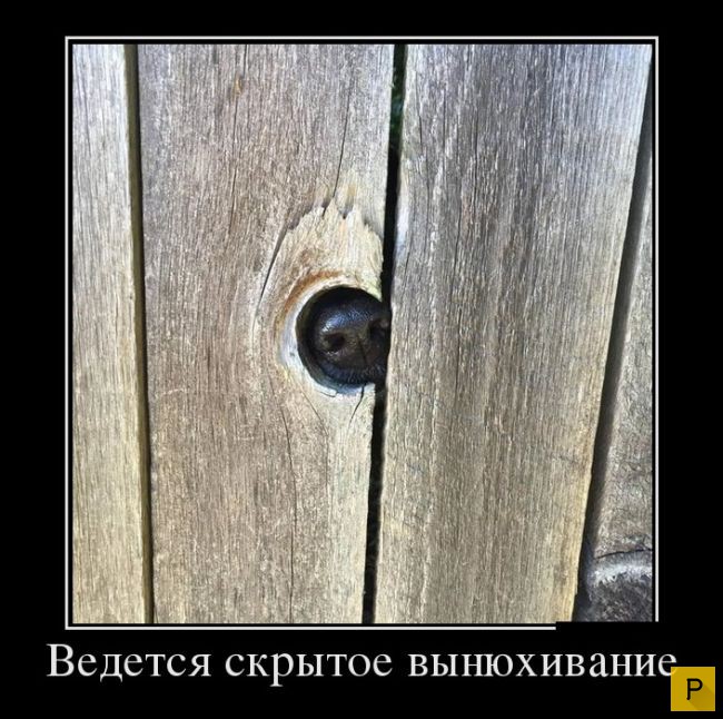 ������������ �� 23.11.2015 (35 ����)