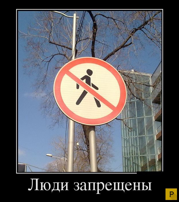 ������������ �� 23.11.2015 (35 ����)