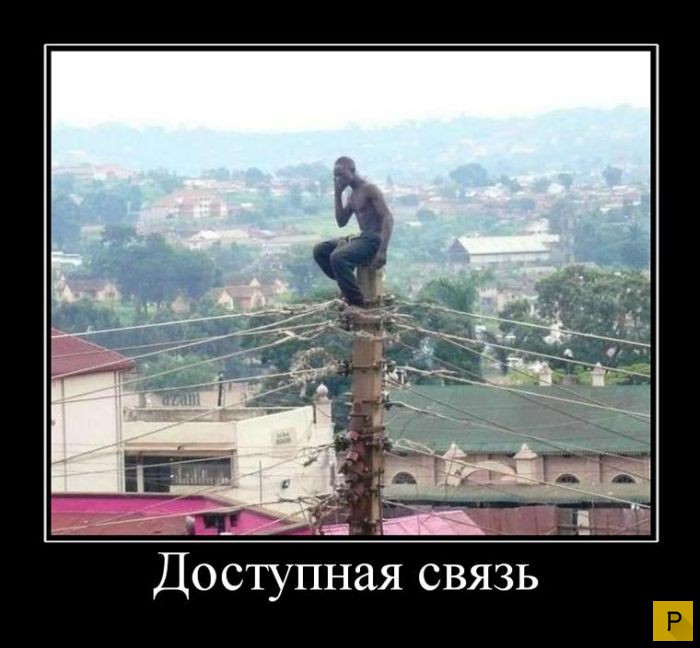 ������������ �� 23.11.2015 (35 ����)