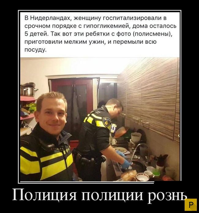 ������������ �� 23.11.2015 (35 ����)