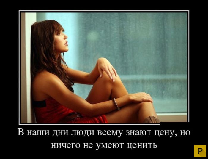 ������������ �� 23.11.2015 (35 ����)