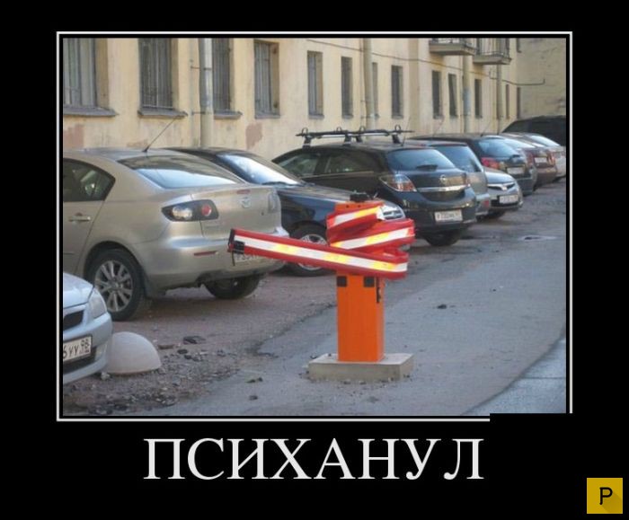 ������������ �� 23.11.2015 (35 ����)