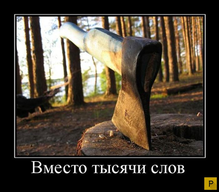 ������������ �� 23.11.2015 (35 ����)
