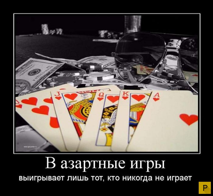 ������������ �� 23.11.2015 (35 ����)