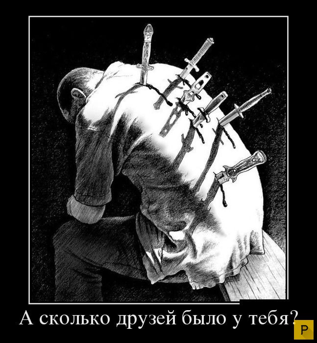 ������������ �� 23.11.2015 (35 ����)