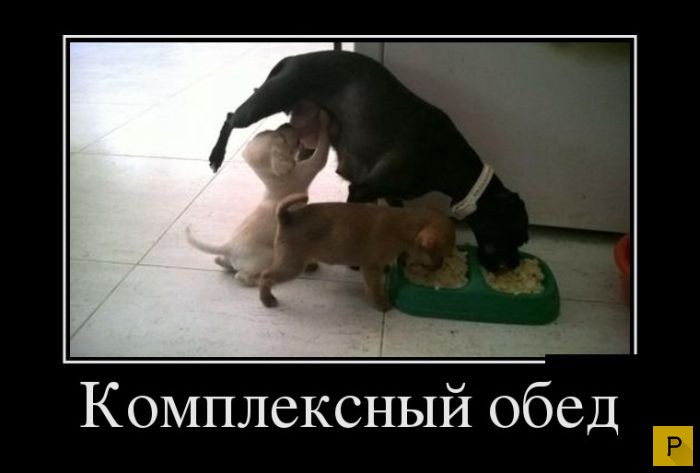 ������������ �� 23.11.2015 (35 ����)