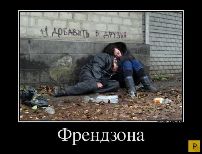 ������������ �� 23.11.2015 (35 ����)