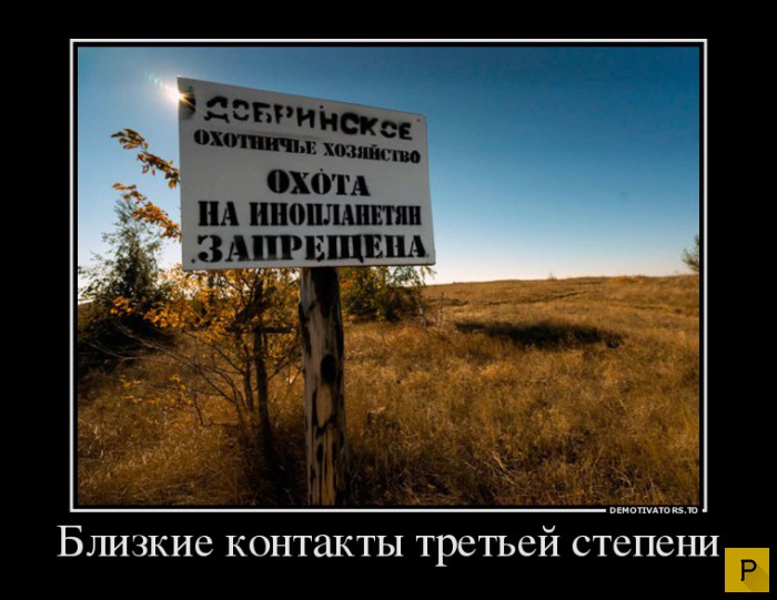 ������������ �� 23.11.2015 (35 ����)