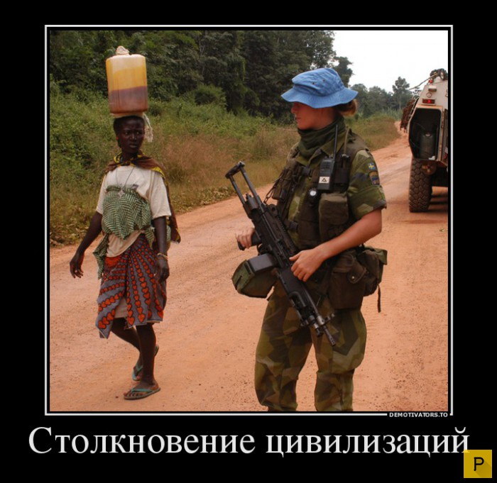 ������������ �� 23.11.2015 (35 ����)