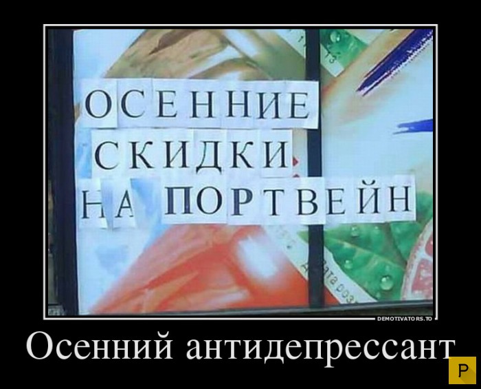 ������������ �� 23.11.2015 (35 ����)