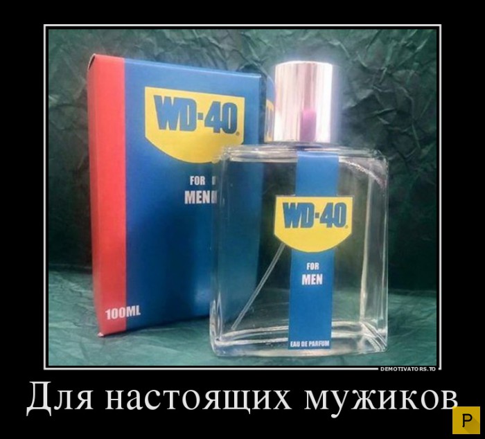 ������������ �� 23.11.2015 (35 ����)
