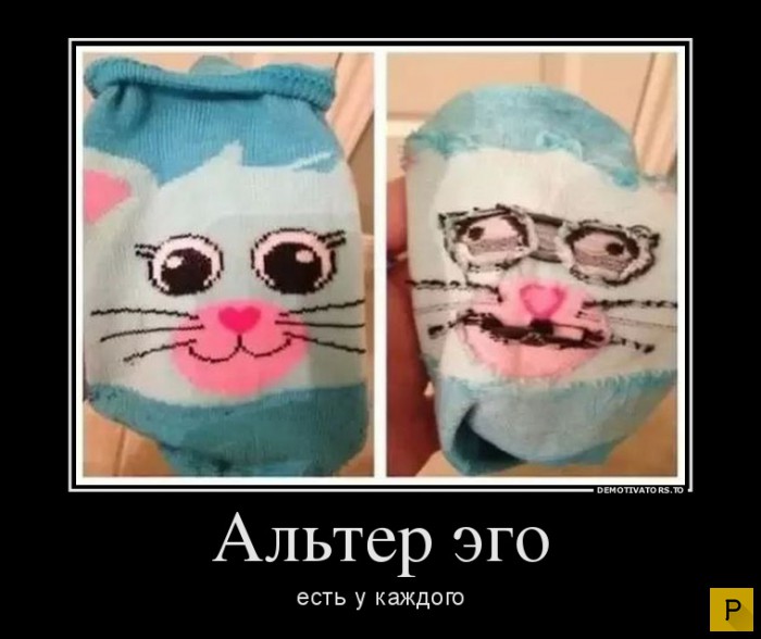 ������������ �� 23.11.2015 (35 ����)