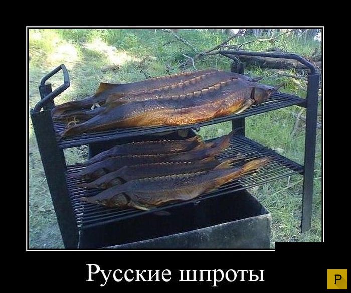 ������������ �� 08.12.2015 (32 ����)