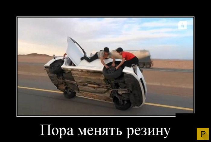 ������������ �� 08.12.2015 (32 ����)