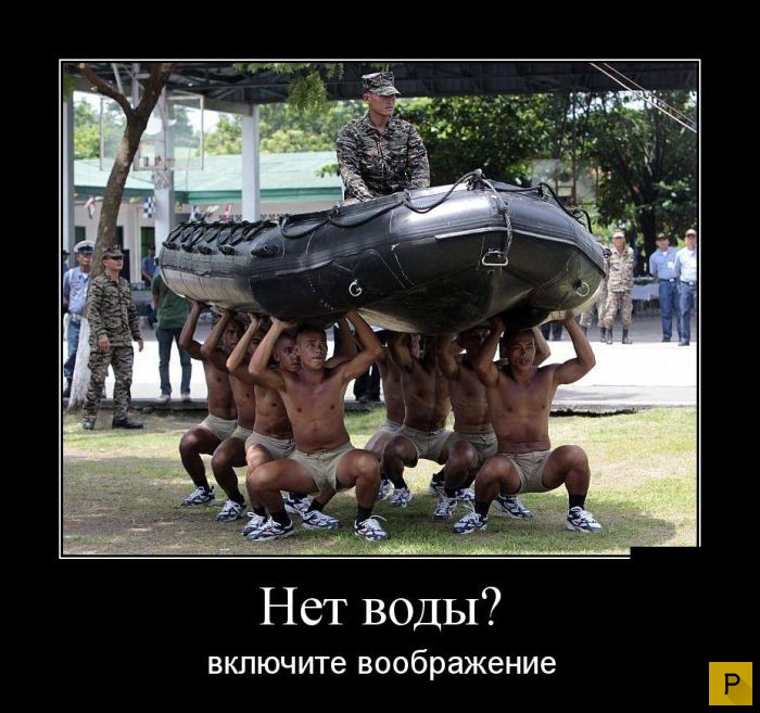 ������������ �� 08.12.2015 (32 ����)