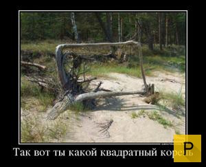������������ �� 08.12.2015 (32 ����)