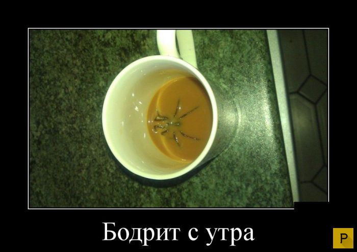 ������������ �� 08.12.2015 (32 ����)