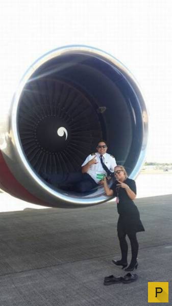 �������� ���������� ����������, ����� 41 (130 ����)