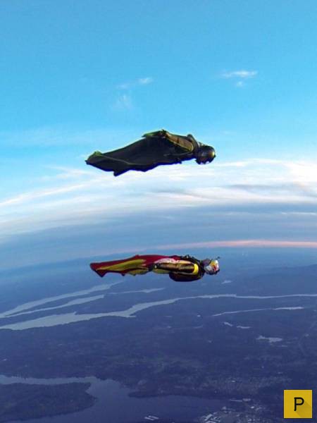 �������� ���������� ����������, ����� 41 (130 ����)