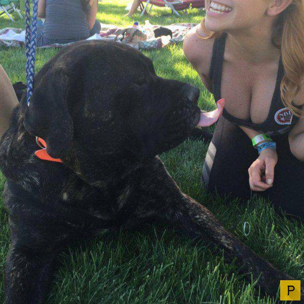 �������� ���������� ����������, ����� 41 (130 ����)