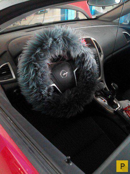 �������� ���������� ����������, ����� 41 (130 ����)