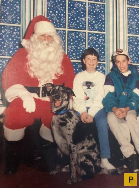 �������� ���������� ����������, ����� 41 (130 ����)