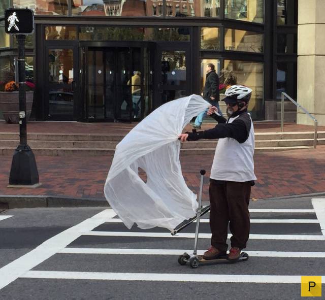 �������� ���������� ����������, ����� 41 (130 ����)