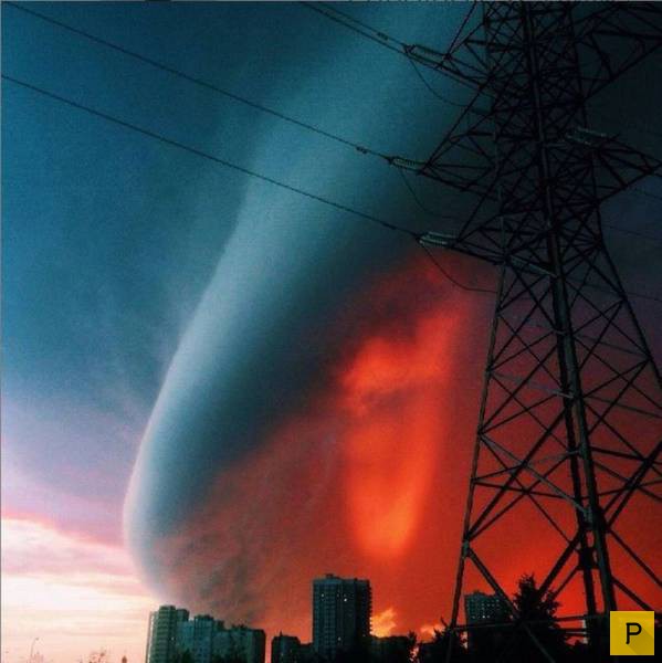 �������� ���������� ����������, ����� 41 (130 ����)