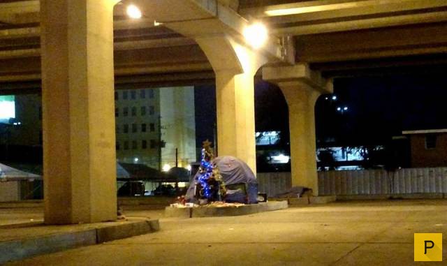 �������� ���������� ����������, ����� 41 (130 ����)