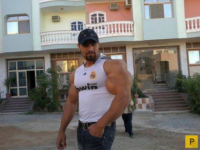 �������� ���������� ����������, ����� 41 (130 ����)