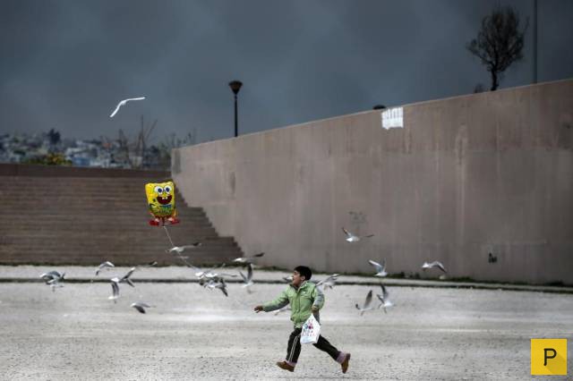 �������� ���������� ����������, ����� 41 (130 ����)