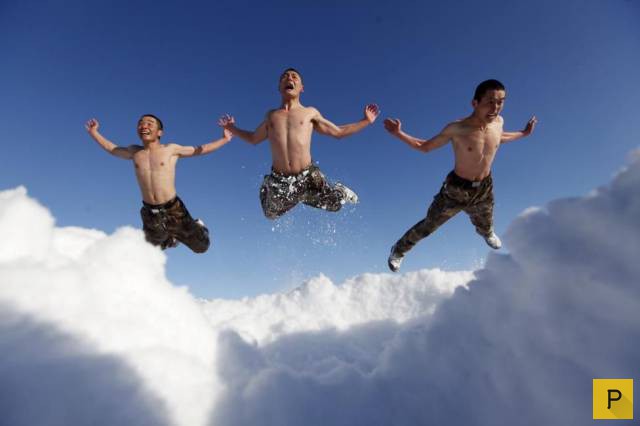 �������� ���������� ����������, ����� 41 (130 ����)