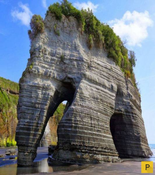 �������� ���������� ����������, ����� 41 (130 ����)